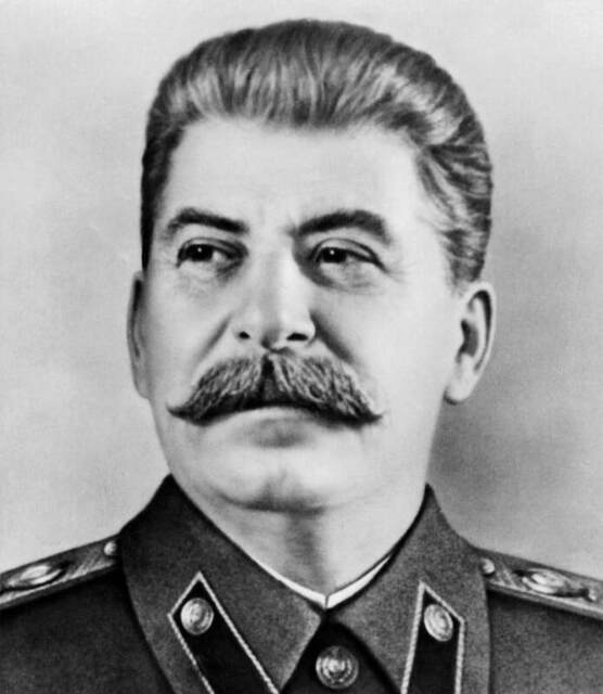 hcstalin1_orig.jpg